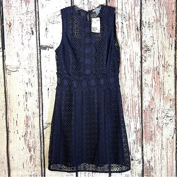 H&M | Dresses | New Nwt Hm Embroidered Lace Sheer Navy Blue Fit Flare Dress  Size 8 Htf | Poshmark